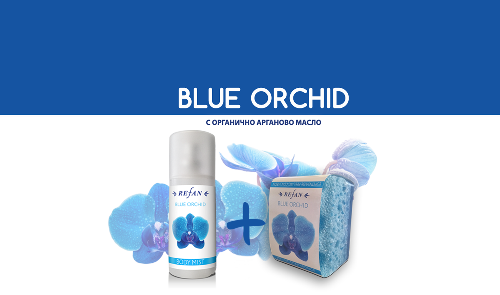 Оферта Blue Orchid 1