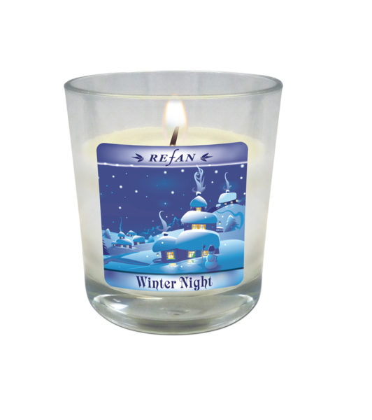 Winter Night