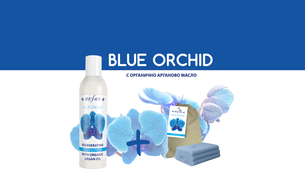 Оферта Blue Orchid 4